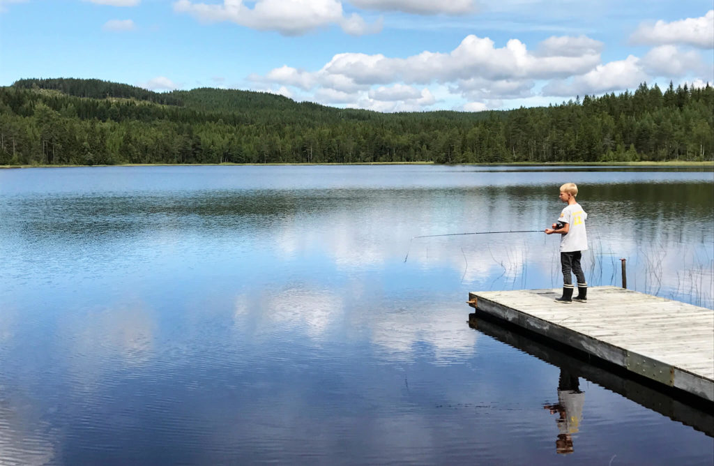 Barn står på brygga och fiskar